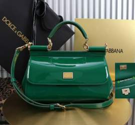 Picture of Dolce Gabbana Handbags _SKUfw242322918fw